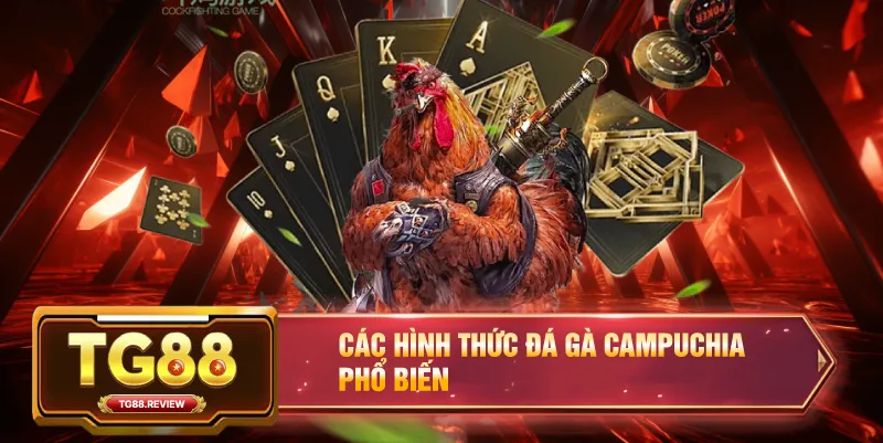 Các Hình Thức Đá Gà Campuchia Phổ Biến