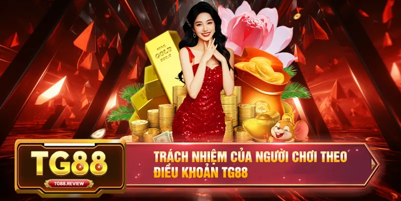 Trách Nhiệm Của Người Chơi Theo Điều Khoản TG88